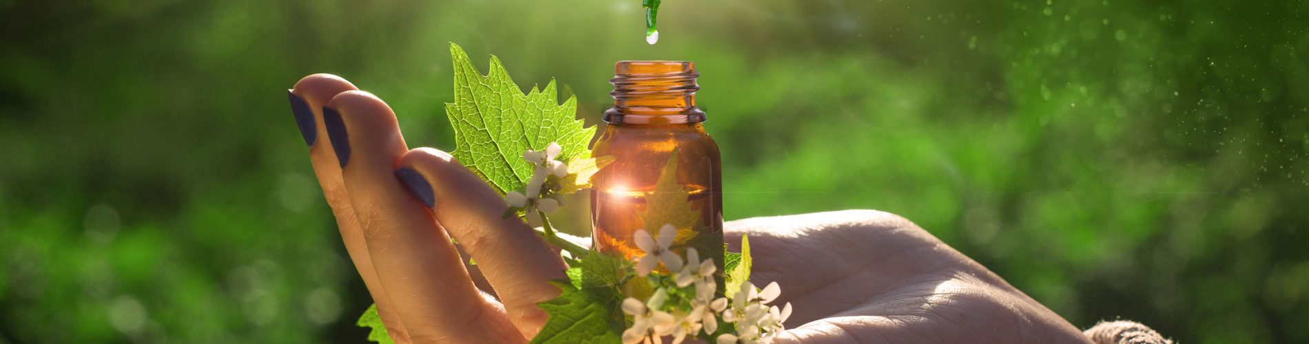 Titelbild Naturheilpraxis Natalie Nerenberg in Liesborn